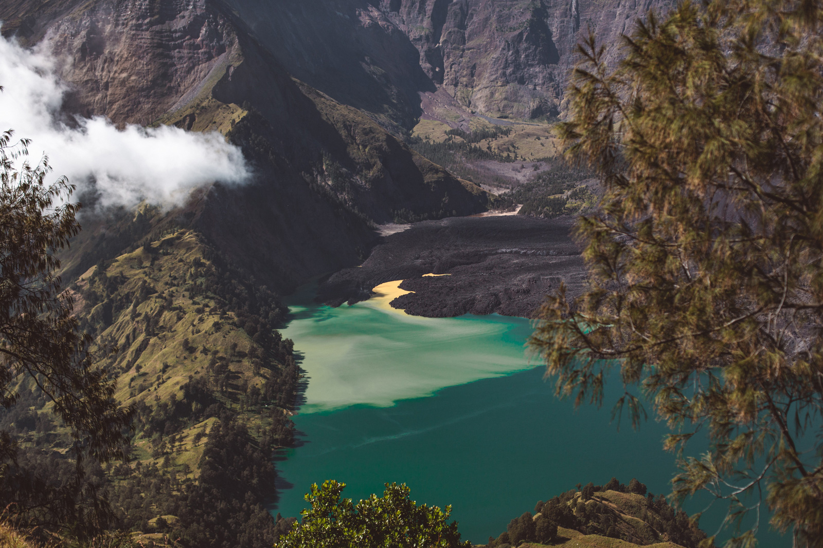 Natural Capital